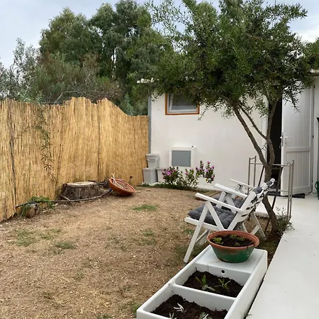 Tiny House Ogliastra - Pochi Passi Dalla *