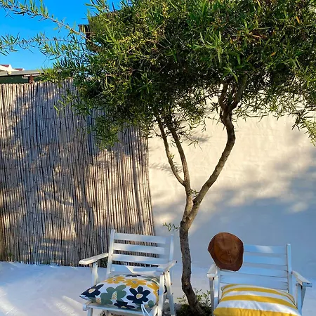 Tiny House Ogliastra - Pochi Passi Dalla *