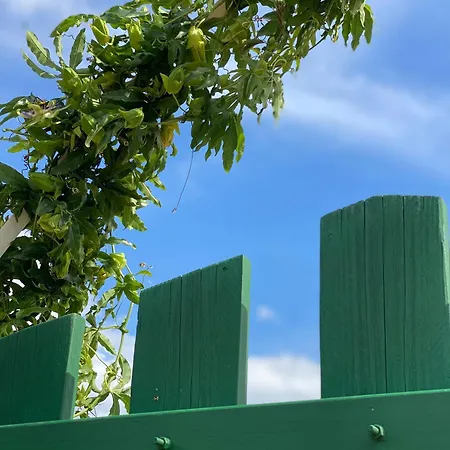 Vakantiehuis Tiny House Ogliastra - Pochi Passi Dalla Tertenìa