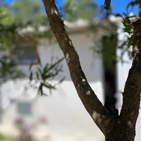 度假居 Tiny House Ogliastra - Pochi Passi Dalla