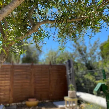 Tiny House Ogliastra - Pochi Passi Dalla 度假居 *