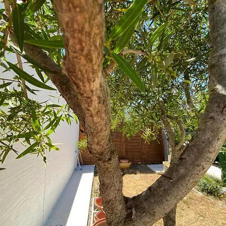 Tiny House Ogliastra - Pochi Passi Dalla Nyaraló Tertenìa